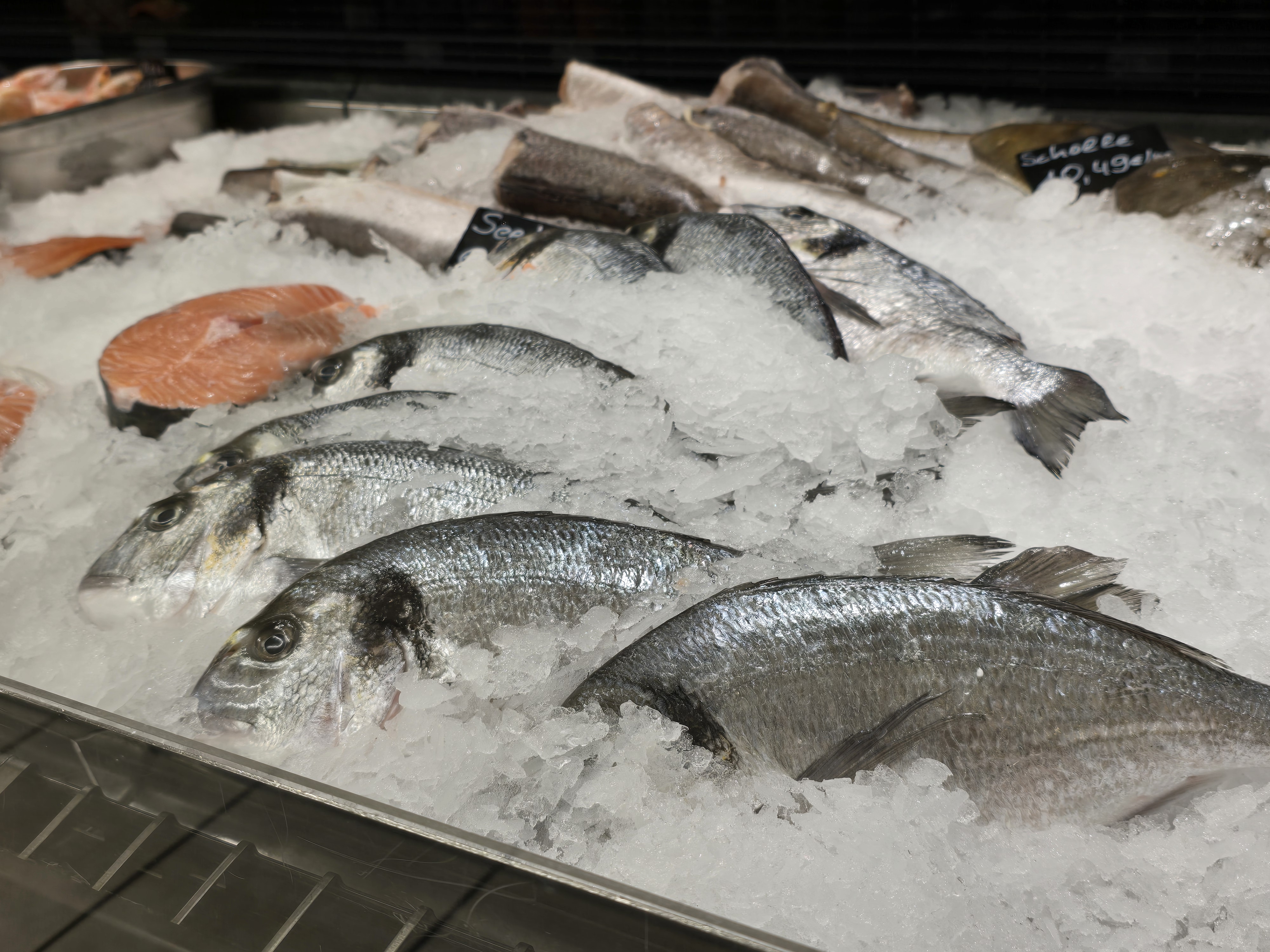Frischer Fisch auf Eis